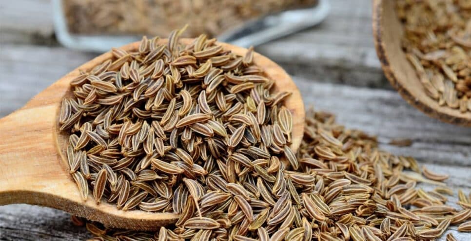 Caraway Tea Company teve seu declínio ainda no começo da pandemia (Foto Reprodução/Sativa)