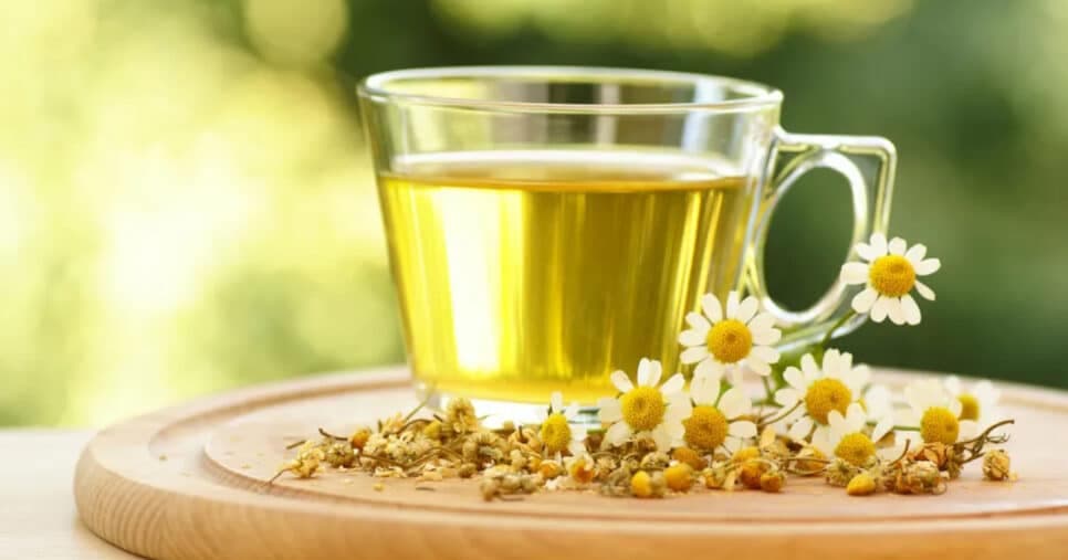 Chá potente para rejuvenescer (Foto: Divulgação)