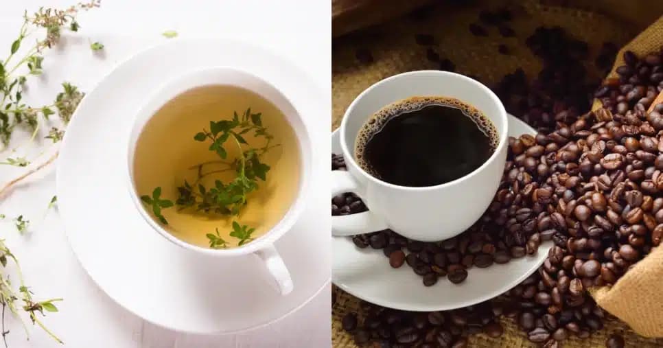 Xícara de chá ou café? Veja a melhor bebida para envelhecer bem e se livrar de doenças