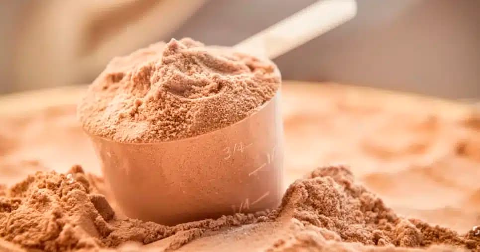 Anvisa - Whey (Foto: Reprodução)