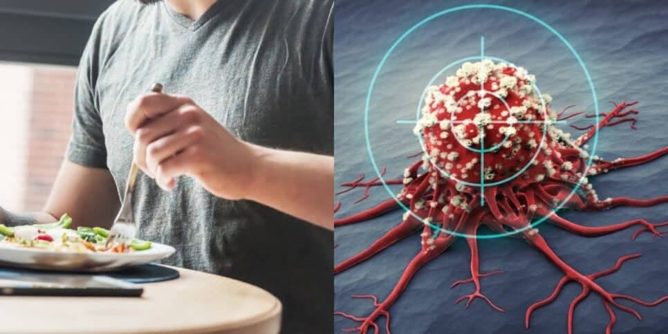 13 alimentos poderosos para exterminar as células cancerígenas em 2025