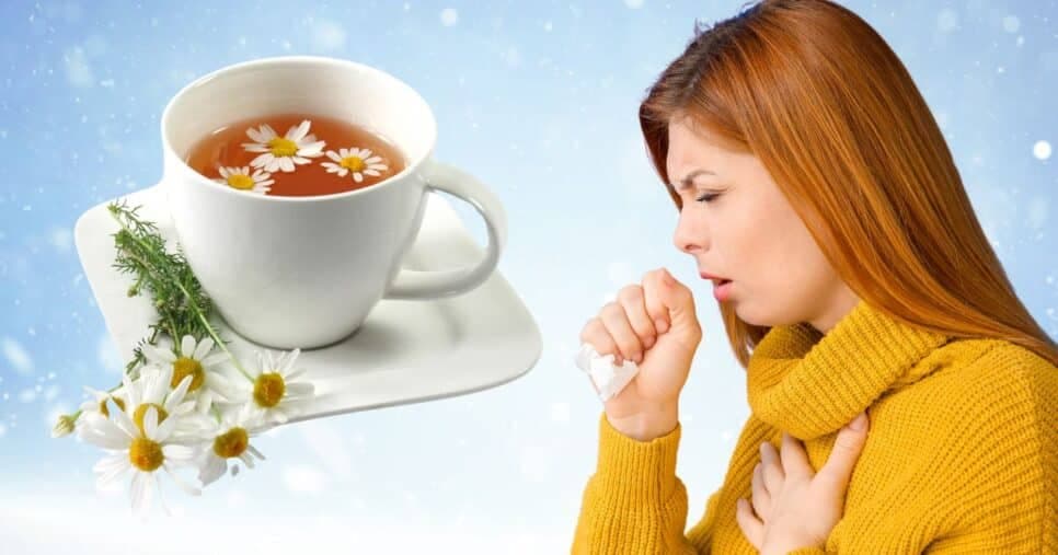 Esses chás são os mais eficazes para acabar com a gripe e tosse no inverno