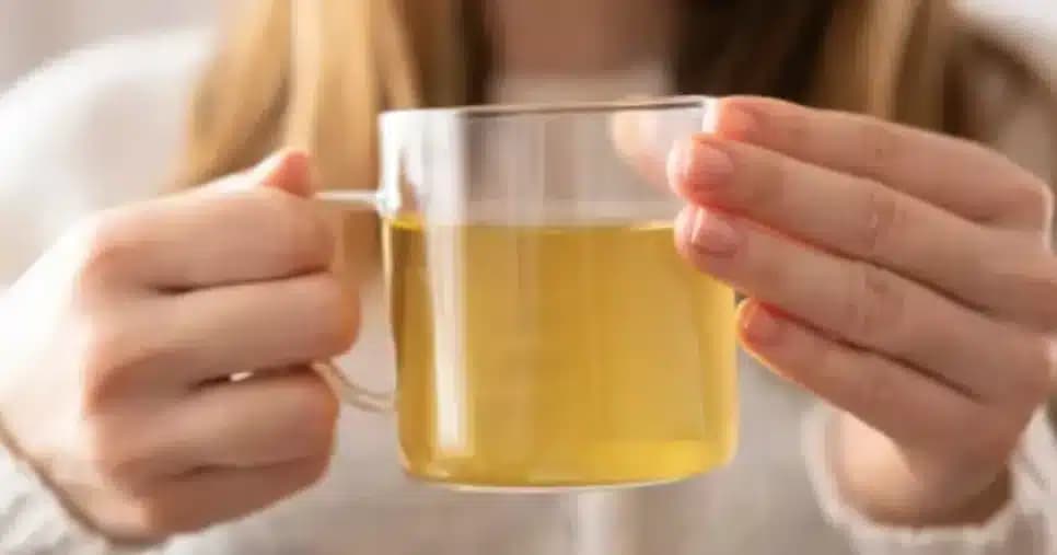 Chá rico em vitamina C com folha popular preserva imunidade no inverno