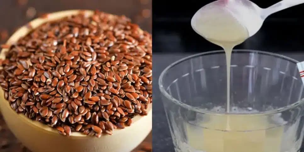 Linhaça e gelatina sem sabor também ajudam a pele (Reprodução: Montagem TV Foco)