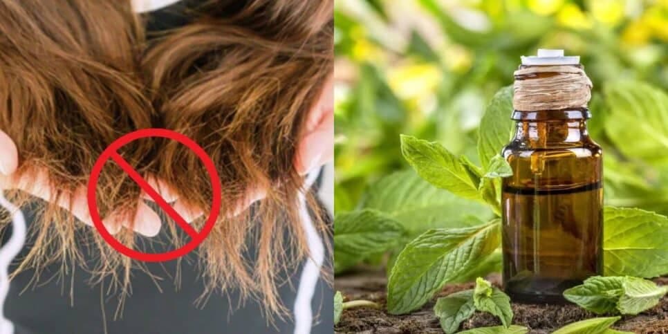 Esses óleos eliminam as pontas duplas sem precisar cortar o cabelo