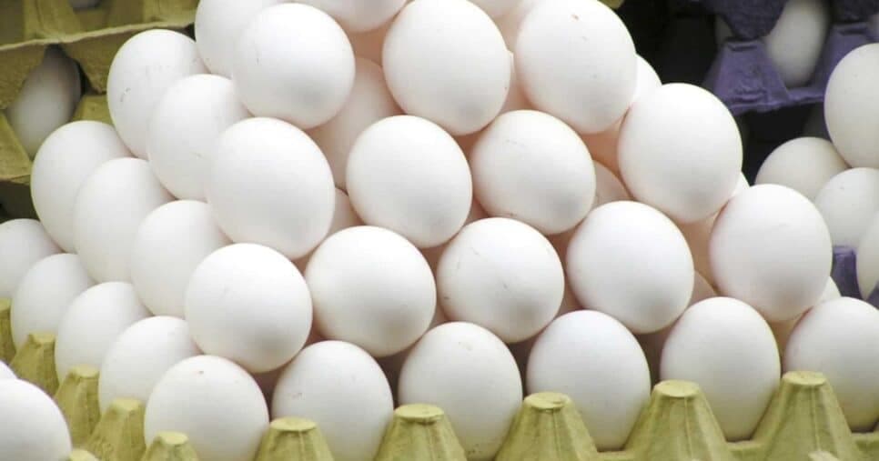 Veja quanto você pagava no ovo há 15 anos atrás e o valor absurdo dele hoje