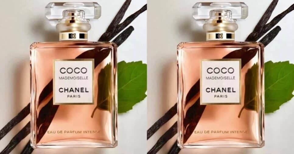 3 perfumes noturnos deixam rastro sem esforço e te tornam inesquecível