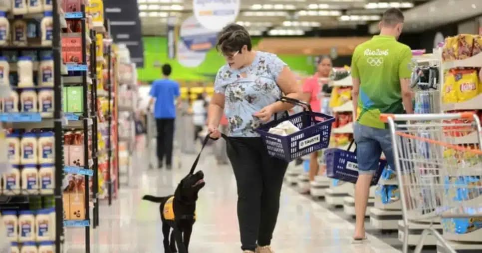 PL permite entrada de pets em supermercados de BH - Foto: Internet PL permite entrada de pets em supermercados de BH - Foto: Internet