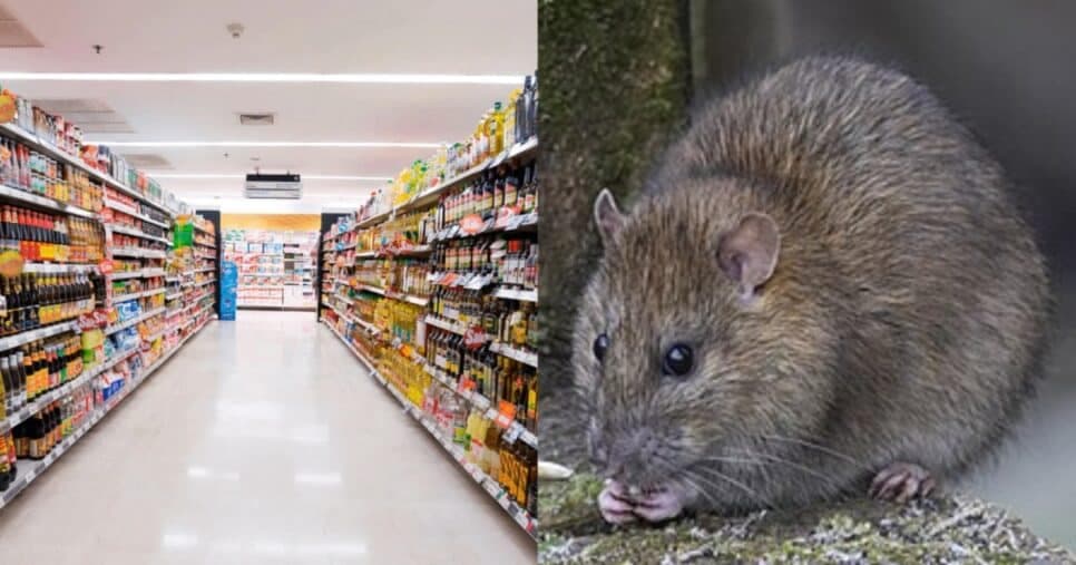 Rato em chocolate: Globo comunica denúncia em supermercado popular de SP