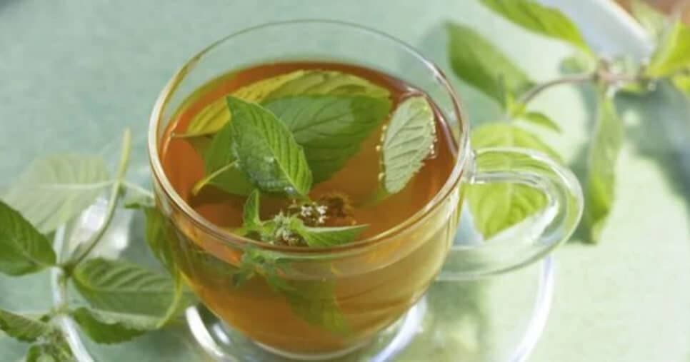 Elixir da juventude: Chá potente com erva misteriosa rejuvenesce a pele das idosas 60+