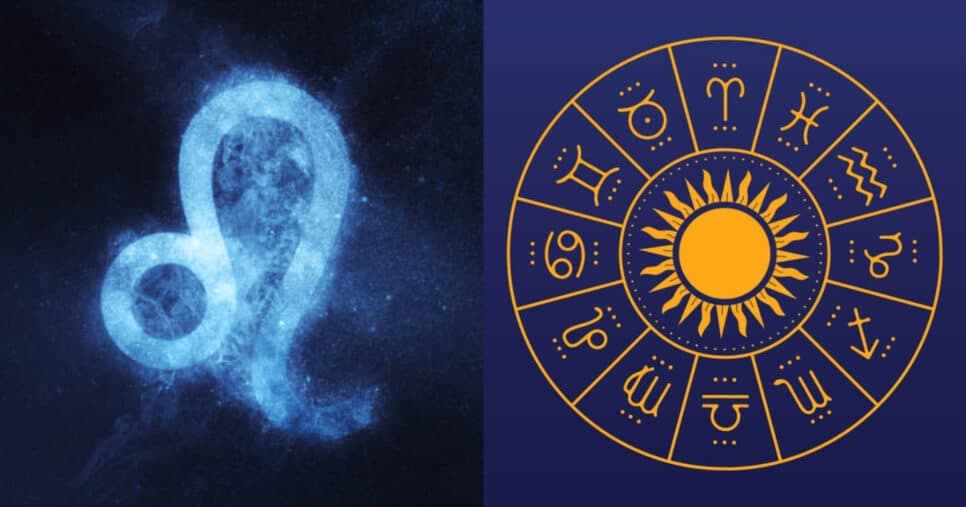 Fuja de Leão: Esses signos são os que mais combinam com Touro no amor