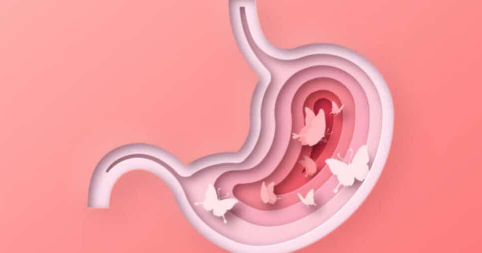 Saiba o que significa as famosa borboletas no estômago (Foto: iStock)