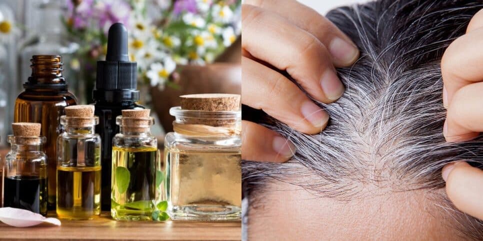 Fim da tinta: Melhores óleos naturais para escurecer o cabelo branco e salvar fios sem química