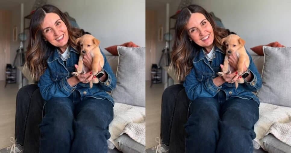 Fátima Bernardes em registro com o novo integrante da família, William - Foto: Instagram