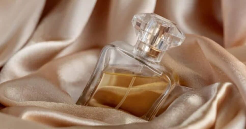 Alguns perfumes exalam sensualidade (Foto Reprodução/Montagem/Tv Foco/Canva)