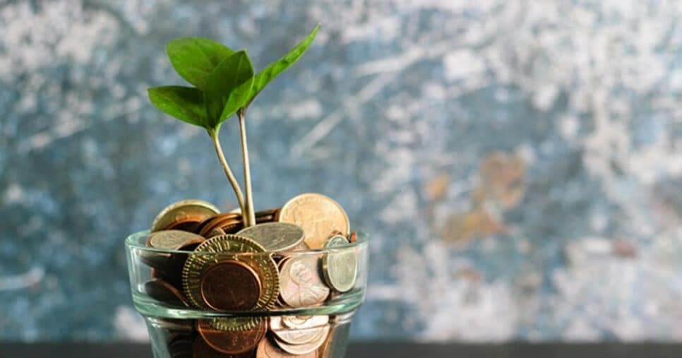 Simpatia com sal grosso e caneta traz prosperidade financeira em agosto