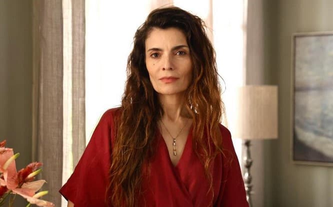 Ana em Vale Tudo (Foto: Reprodução / Globo)

