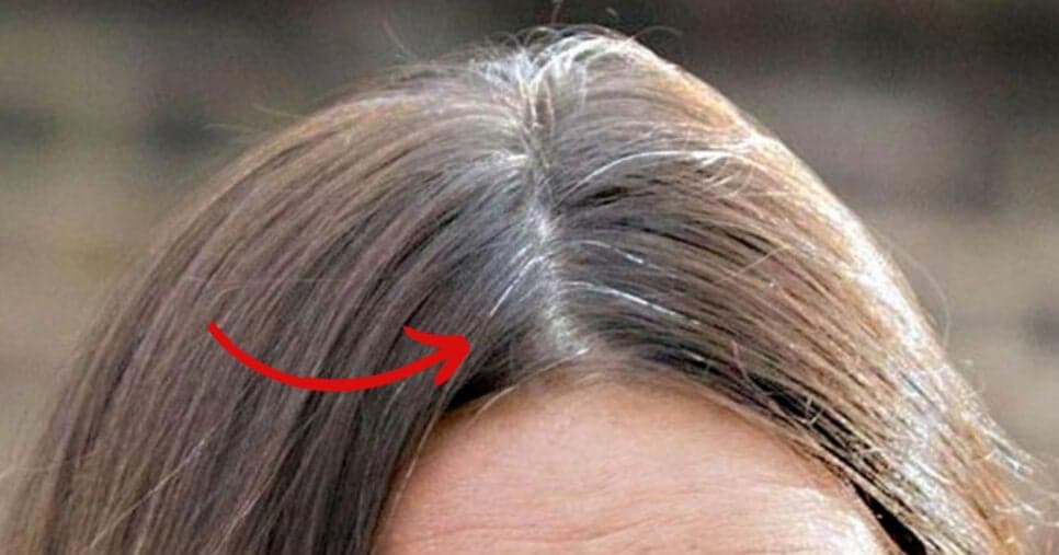 Falência das tintas: 5 dicas para acabar com o cabelo branco sem química