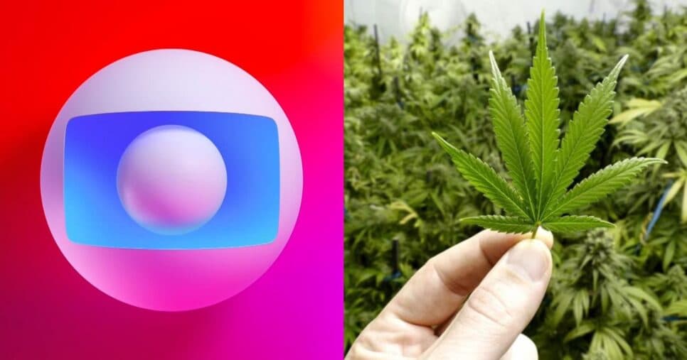 Estrela de novelas da Globo mostra plantação de maconha e confirma: "Dia de colheita''