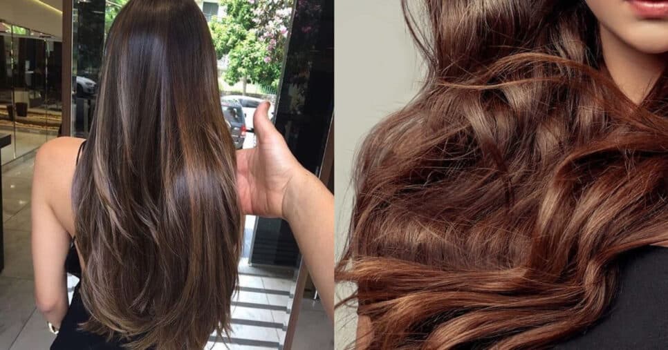 Adeus cabelo danificado: 5 segredos naturais que revitalizam os seus cabelos
