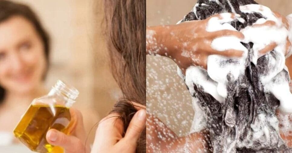Esse ingrediente natural potencializa seu shampoo e dá brilho instantâneo aos fios