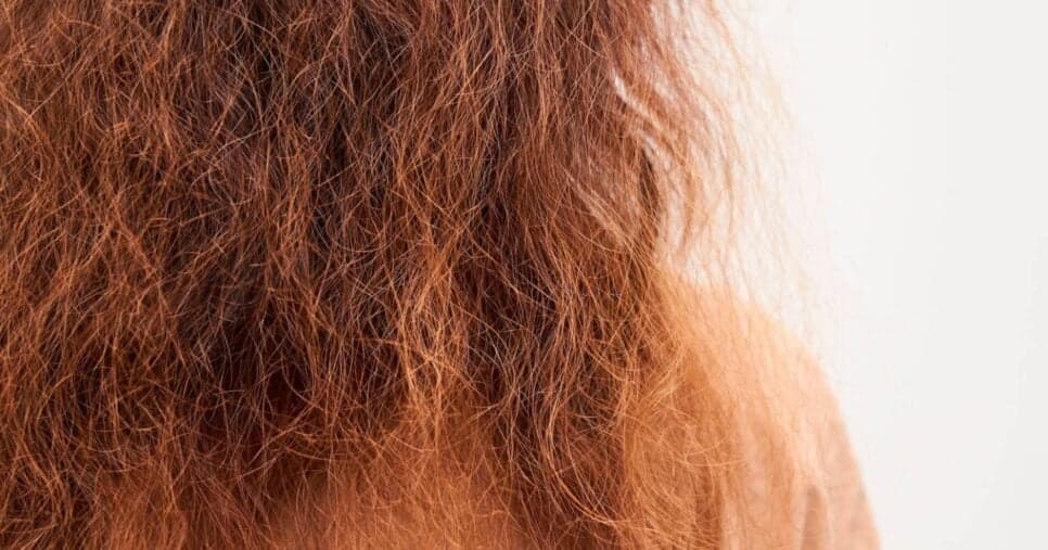 1 único ingrediente natural hidrata o cabelo e dá fim aos fios secos e quebradiços