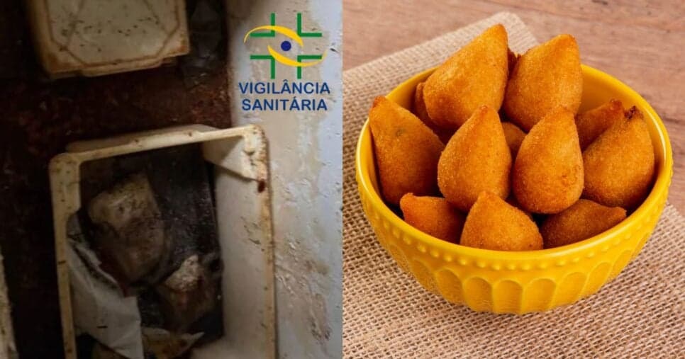 Barata no freezer: Vigilância Sanitária fecha fábrica de salgados popular ao flagrar cenário de horror
