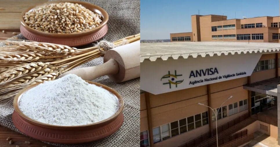 Donas de casa não sabem: A regra da ANVISA que revela fragmentos de inseto em farinhas de trigo