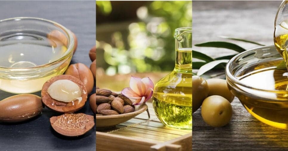 Óleo de Argan, Amêndoa e Oliva - Foto: Montagem/TV FOCO