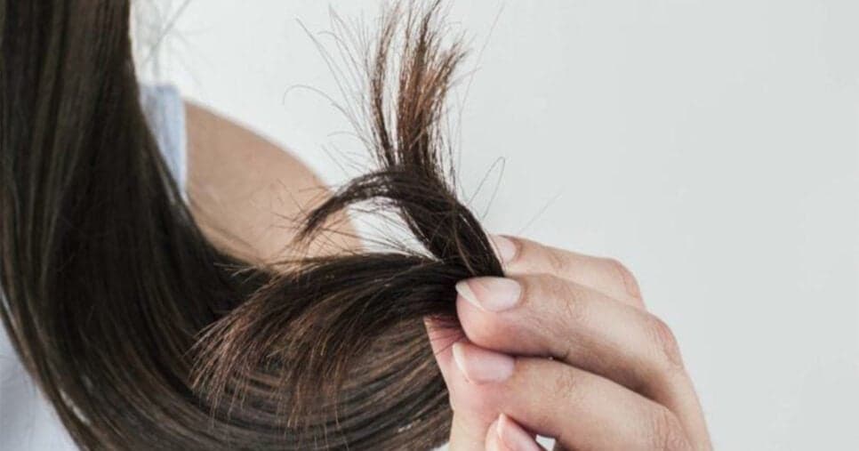 Saiba com resolver as pontas duplas do seu cabelo (Foto: Divulgação)