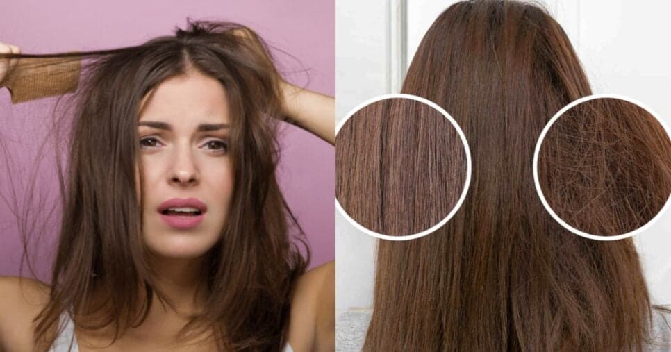 Fim dos fios quebrados: Queratina natural com 5 ingredientes populares ressuscita o cabelo da UTI
