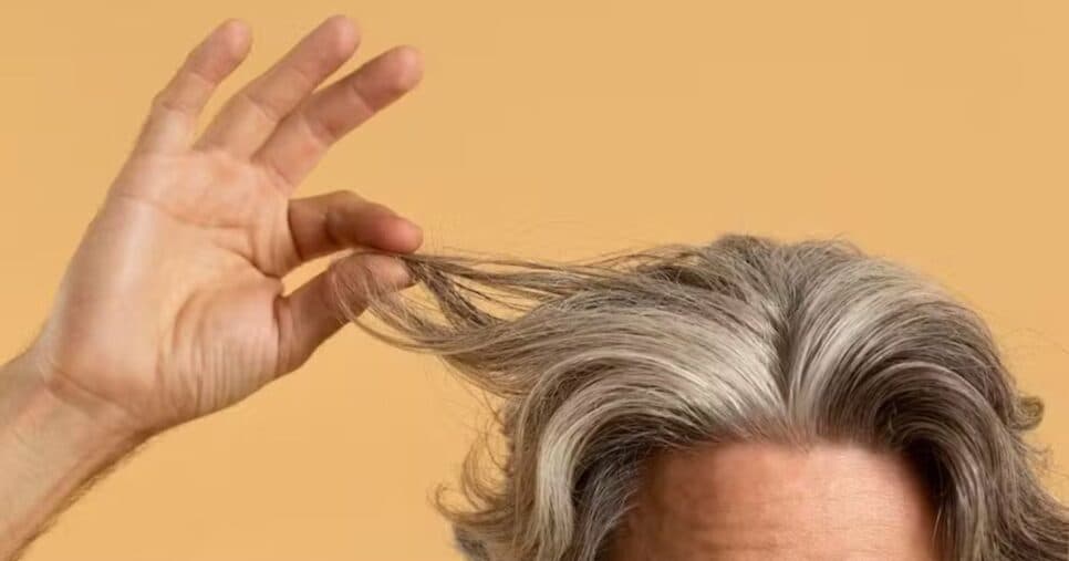 Adeus fios brancos: Como acabar com o cabelo grisalho com apenas 2 óleos naturais 