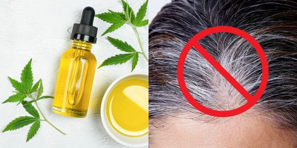 Óleo natural acaba com o cabelo grisalho e reverte até o último fio branco sem precisar de tinta