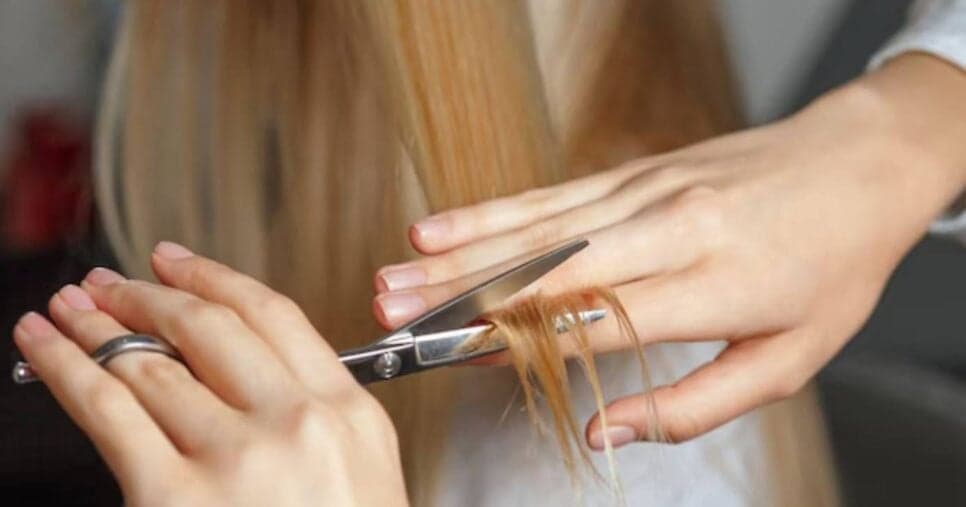 Fonte da juventude: 5 cortes de cabelo para abrir 2026 com 30 anos a menos