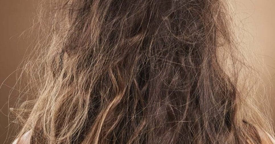 Veja como combater o frizz e reduzir o volume do cabelo com esse óleo (Foto: Divulgação)