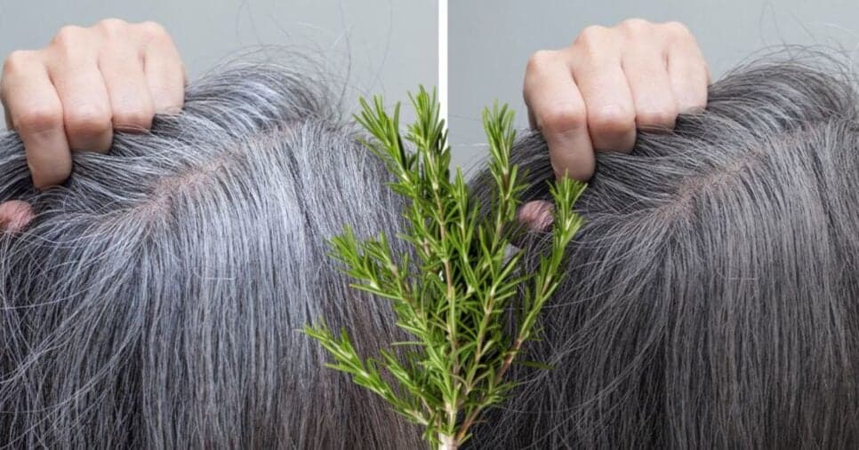 Único ingrediente e resultado em minutos: misturinha natural ajuda a disfarçar cabelos grisalhos