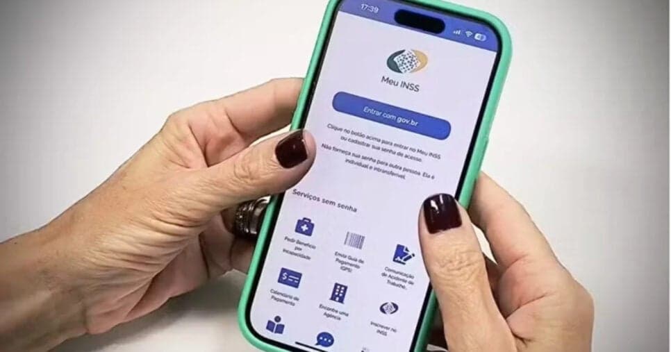 Meu INSS (Foto: Divulgação)