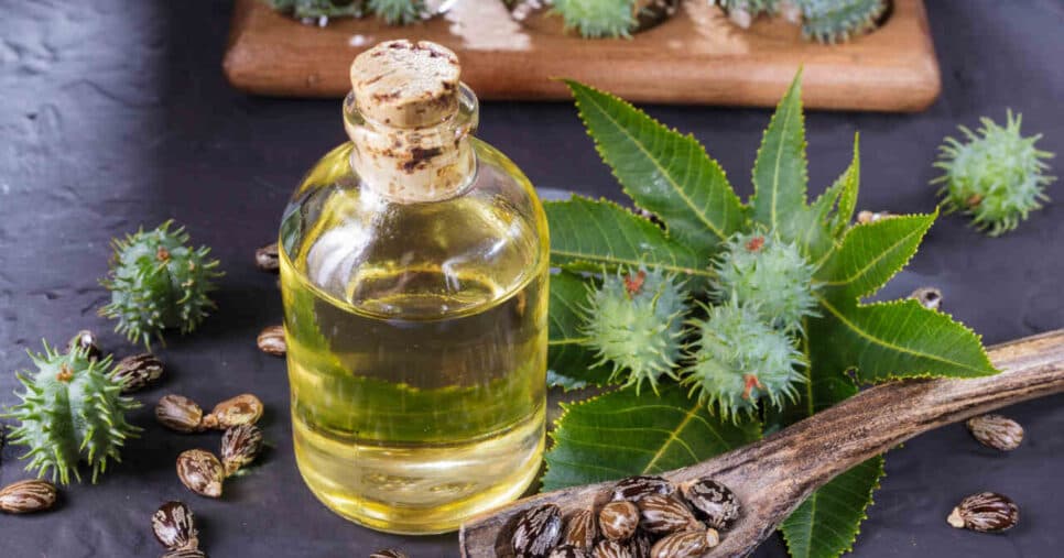 Adeus ressecamento e pontas duplas: Óleo natural traz hidratação potente ao cabelo antes do Natal
