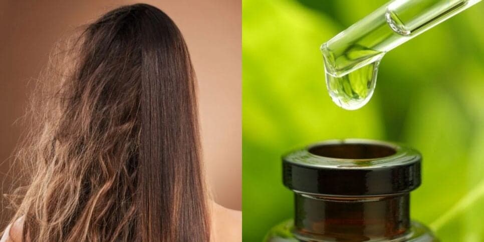 Tchau, frizz e pontas duplas: 2 óleos naturais transformam o cabelo da noite para o dia