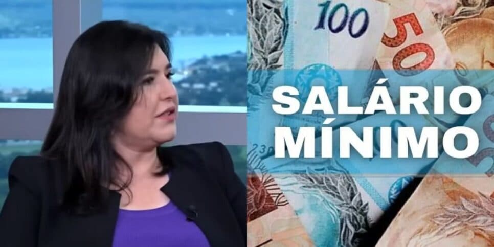 A revisão informada por Simone Tebet que revela o valor preparado ao salário mínimo de 2026