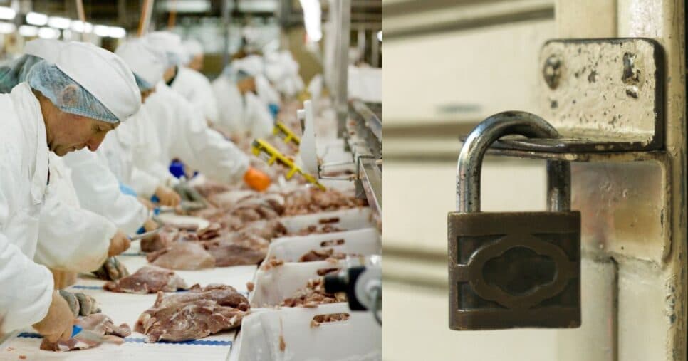 Falência e dívida de R$1B: O fim de gigante alimentícia com 4700 funcionários na rua no Brasil