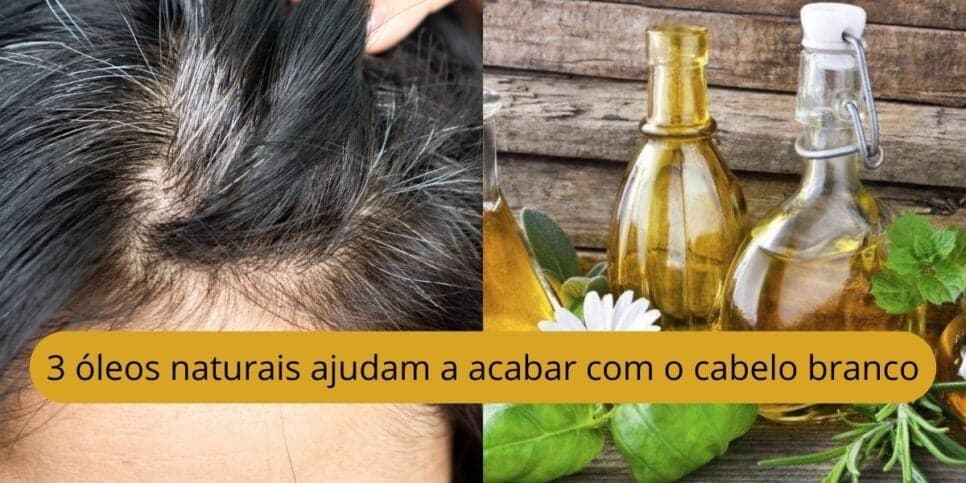 Tchau, tintura e química: 3 óleos que ajudam a combater cabelos brancos de forma natural