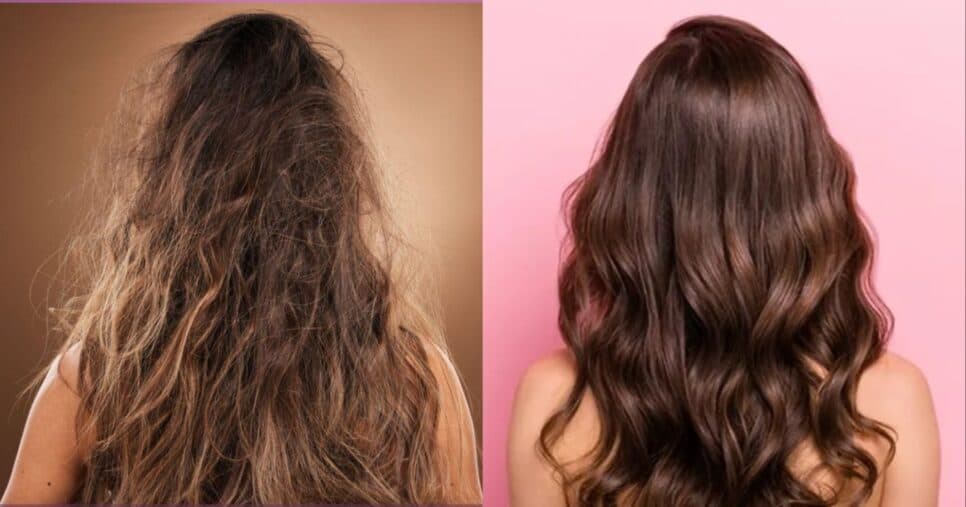 Frizz nunca mais: Esses 2 óleos naturais hidratam e nutrem profundamente o cabelo