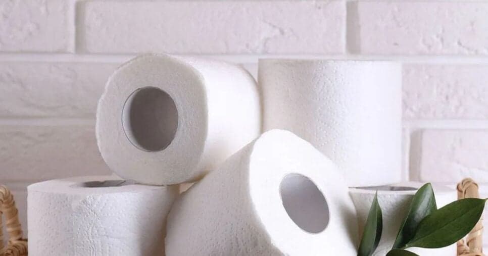 Descanse em paz para sempre, papel higiênico: banheiros adotam novas soluções definitivas