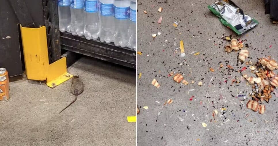 Rato e sujeira em supermercado (Foto: Reprodução / Redes sociais)