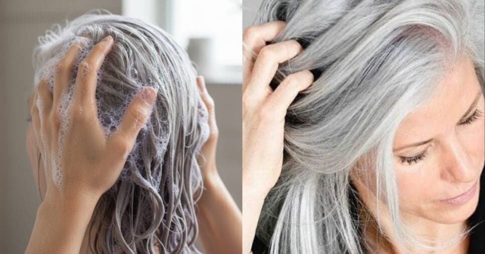 Cabelos grisalhos de salão: 4 shampoos que devolvem brilho, maciez e acabam com o amarelado dos fios