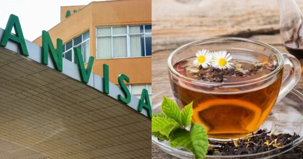 "Cinco insetos inteiros mortos": Regra da ANVISA informa chá popular que pode conter nojeira