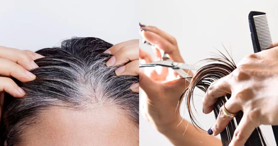 Como fazer corte caseiro para cobrir os fios brancos e ter resultado melhor que o de profissional