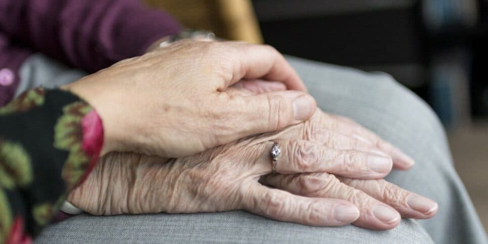 Bolsa Cuidador Familiar para idosos 60+ (Reprodução: Divulgação)