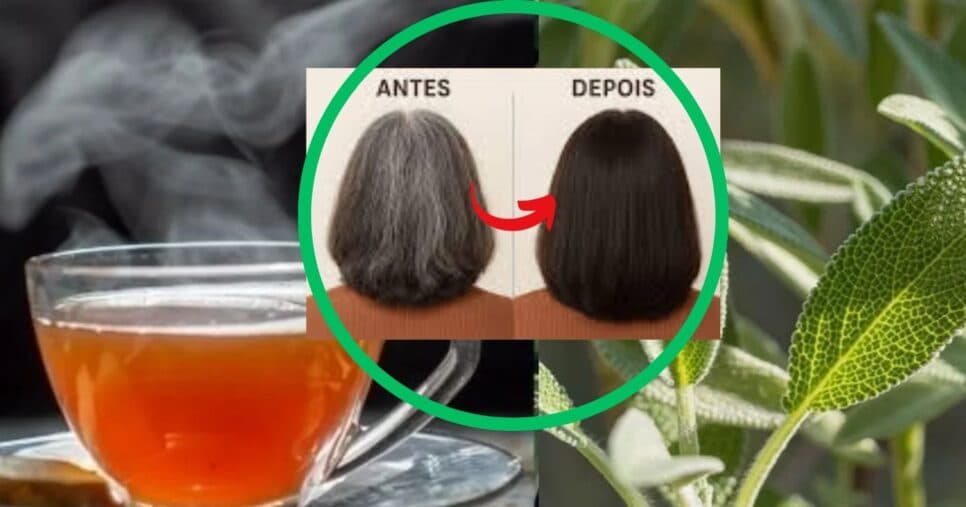 Chá de sálvia cobre os brancos e traz brilho (Foto Reprodução/Montagem/Lennita/TV Foco/Canva/Lennita)